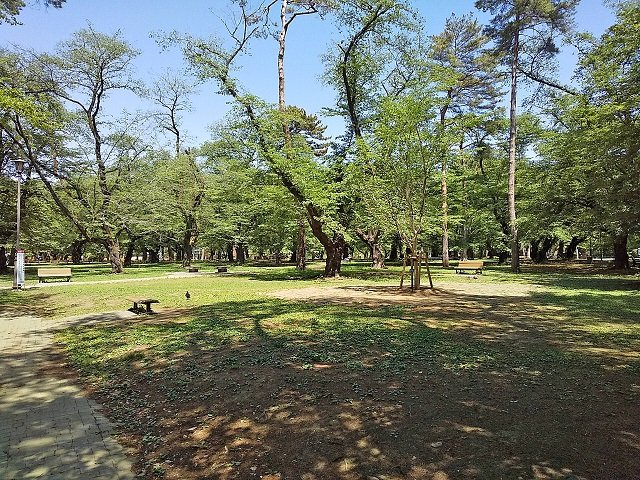 大宮公園